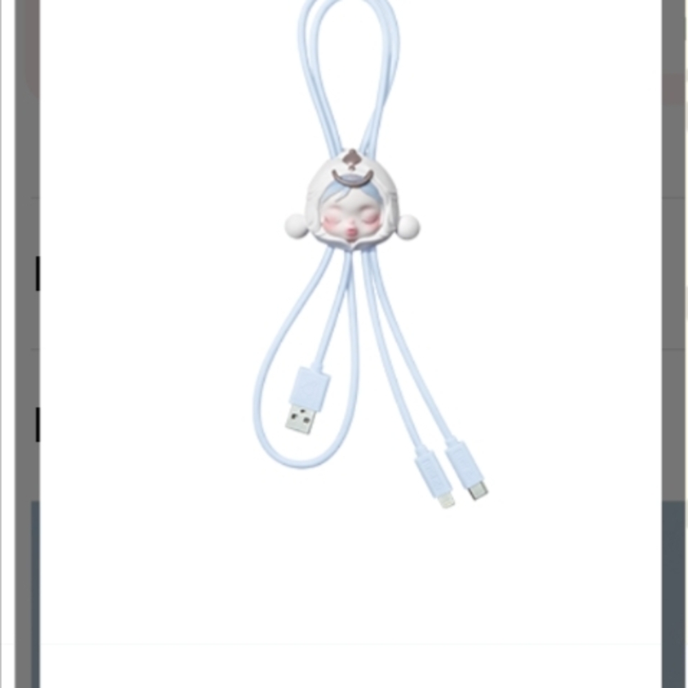 SkullPanda The Paradox USB Charging Cable